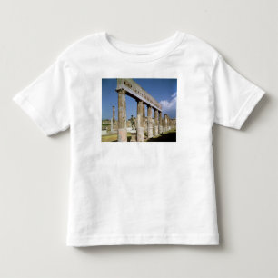 The Temple of Apollo Toddler T-Shirt