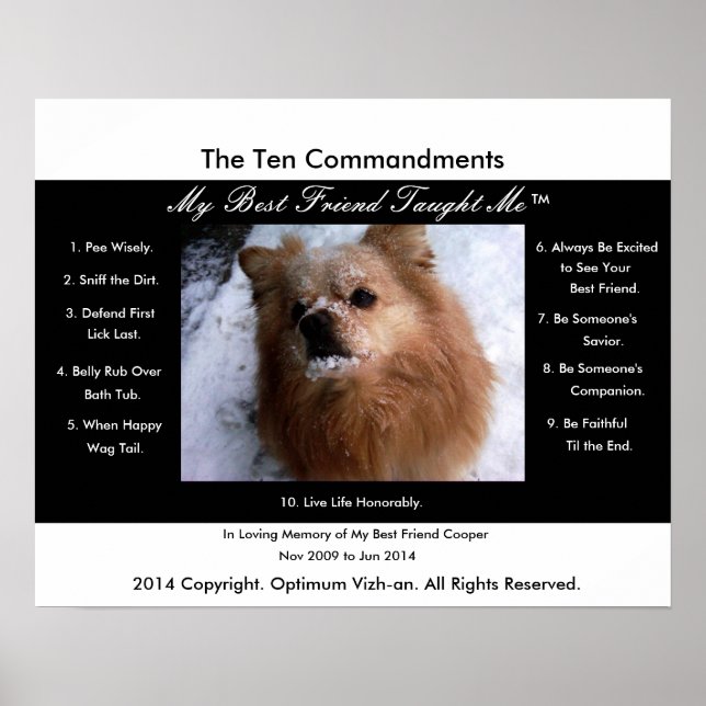 The Ten Commandments My Best Friend Taught Me Poster (Front)