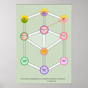 The Tenfold human being Poster
