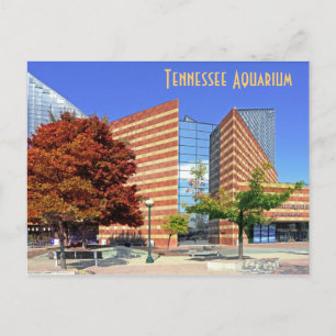 The Tennessee Aquarium - Chattanooga, TN. Postcard