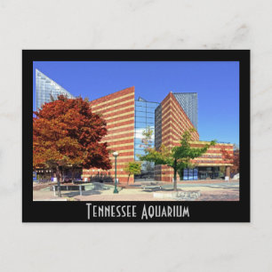 The Tennessee Aquarium - Chattanooga, TN. Postcard