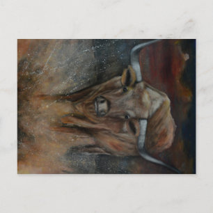The Texas Longhorn Bull Postcard