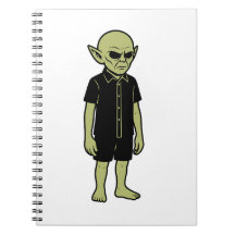 The Thing They Saw - I Believe Alien Encounter