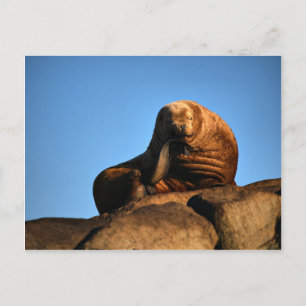 The Thinker Postcard