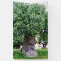 The Thinking Tree in Pugia