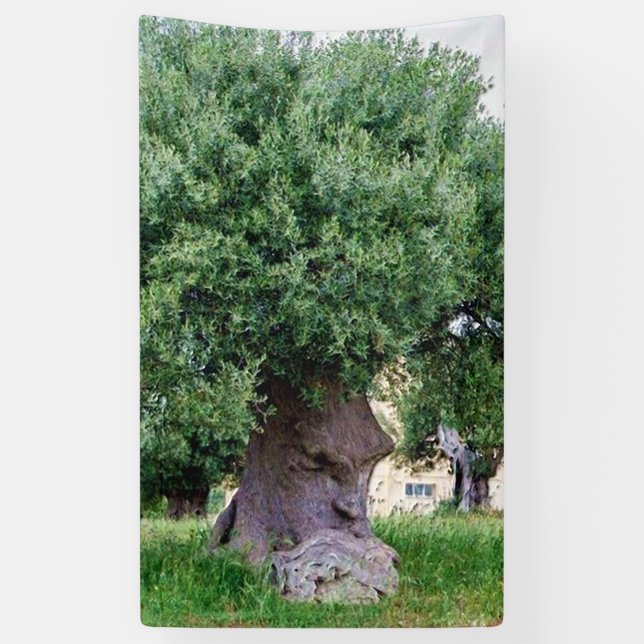 The Thinking Tree in Pugia Banner (Vertical)