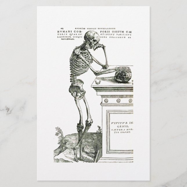 The Thoughtful Skeleton (Front)