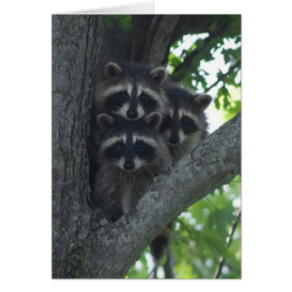The Three Amigos