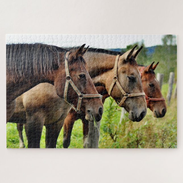 The Three Amigos Staring Horse Friends Jigsaw Puzzle (Horizontal)