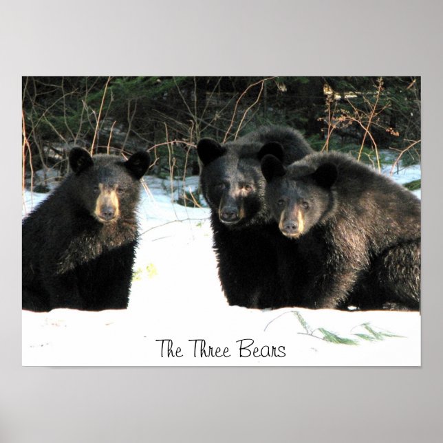 The Three Bears, The Three Bears Poster (Front)
