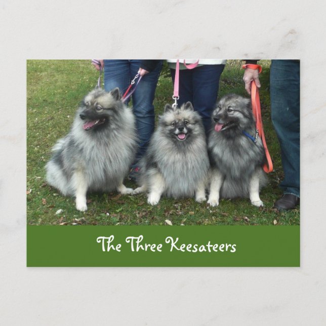 The Three Keesateers Postcard (Front)