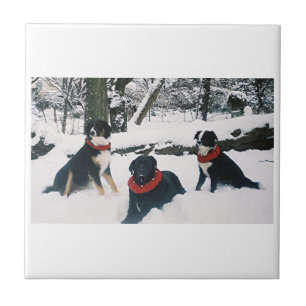 The Three Musketeers! Tile