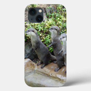 **"The Three Musketeers: Trio of Small Gray Otters iPhone 13 Case