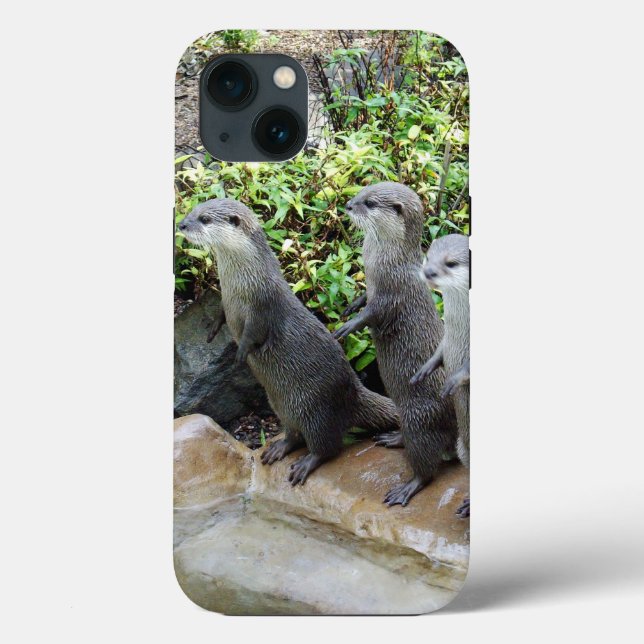 **"The Three Musketeers: Trio of Small Gray Otters Case-Mate iPhone Case (Back)
