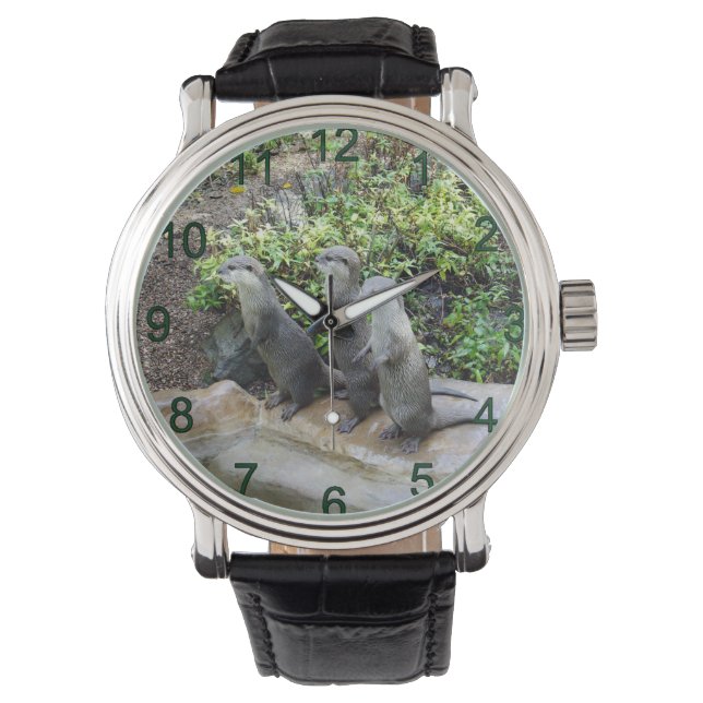 The Three Musketeers: Trio of Small Grey Otters, Watch (Front)