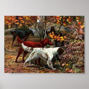 The Three Setters Canvas Print