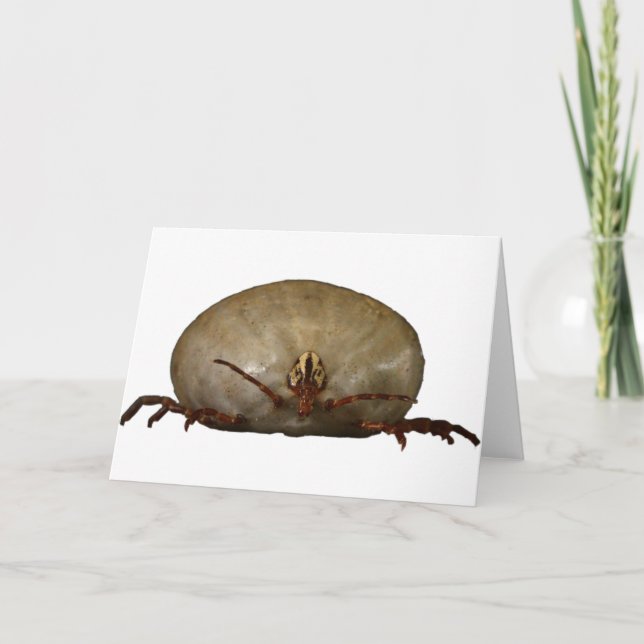 The Tick Card (Front)