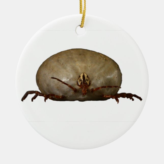 The Tick Ceramic Tree Decoration (Front)