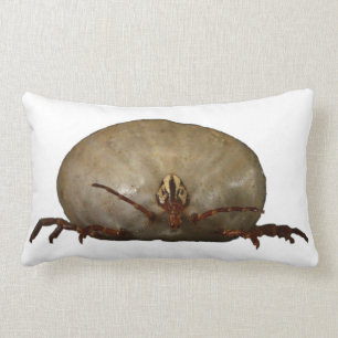 The Tick Lumbar Cushion