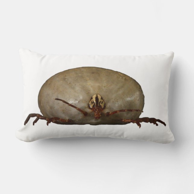 The Tick Lumbar Cushion (Front)