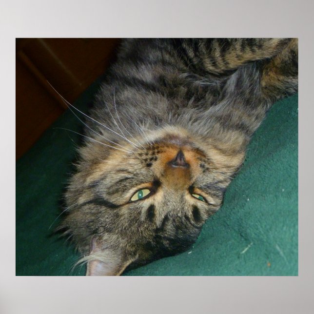 The Tig Poster (Front)