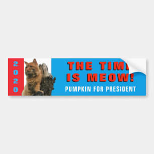 The Time Is Meow! Majestic Pumpkin for President Bumper Sticker