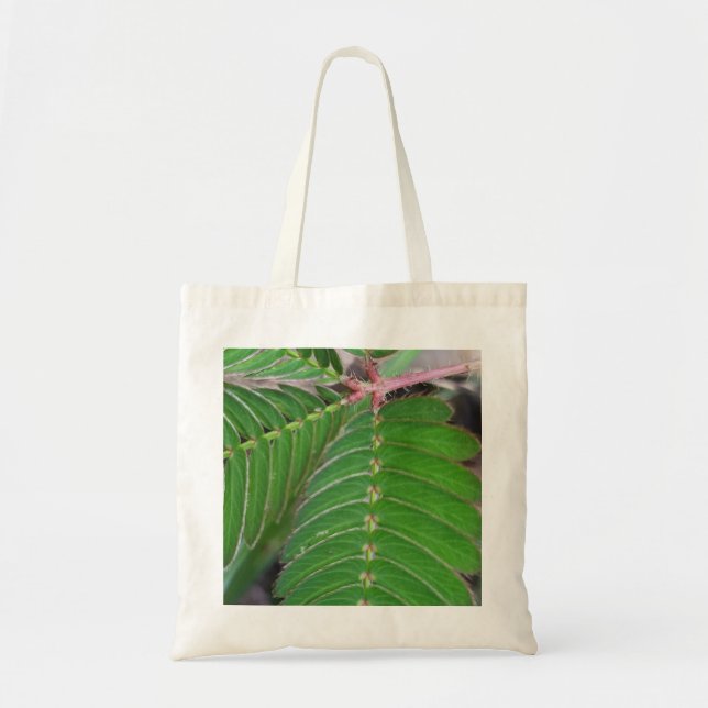 The Timeless "Natural Material" Tote for Everyday  (Front)