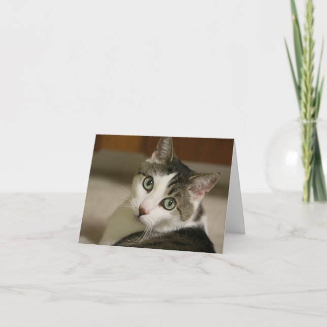 The Tiniest Tiger Note Cards (Front)