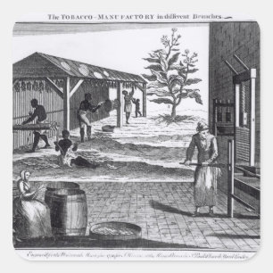 The Tobacco Manufactory in Different Branches Square Sticker