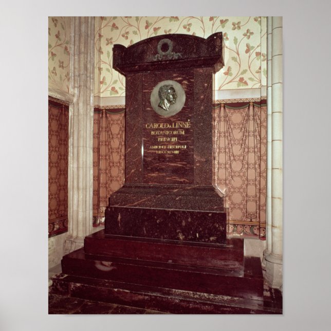 The tomb of Carl Linnaeus Poster (Front)
