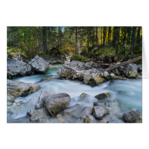 The torrent Ramsauer Ache