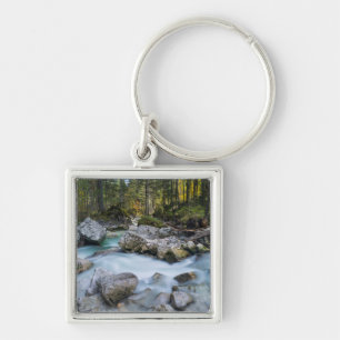 The torrent Ramsauer Ache Key Ring
