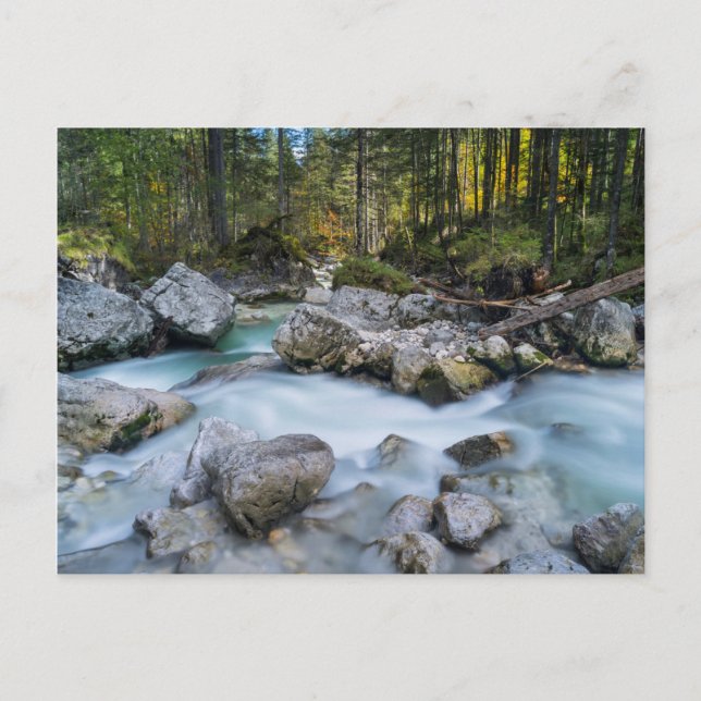 The torrent Ramsauer Ache Postcard (Front)