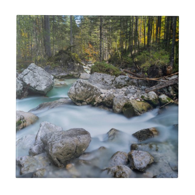 The torrent Ramsauer Ache Tile (Front)