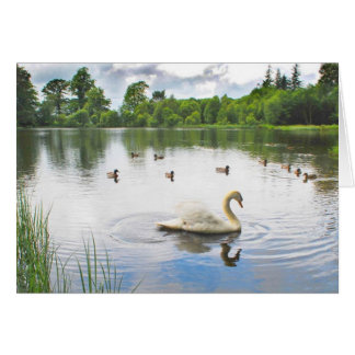 The Tranquil Lake