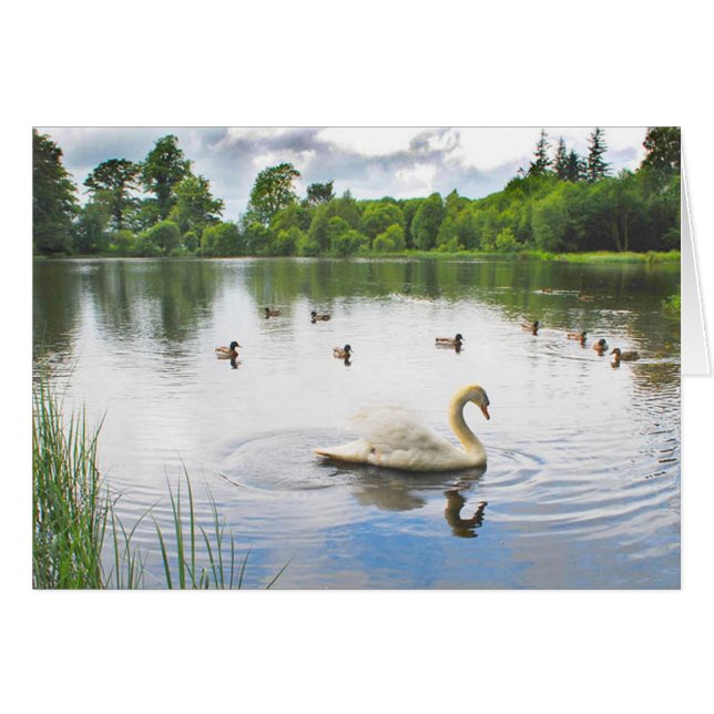 The Tranquil Lake (Front Horizontal)