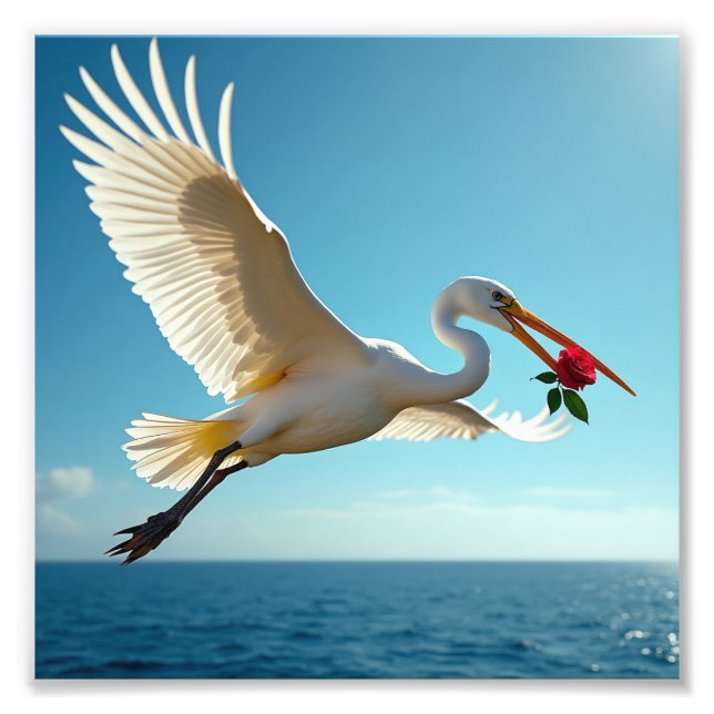 The travelling bird photo print (Front)