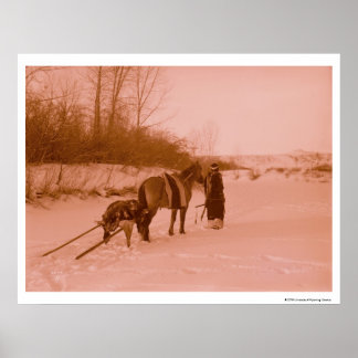 The Travois Poster