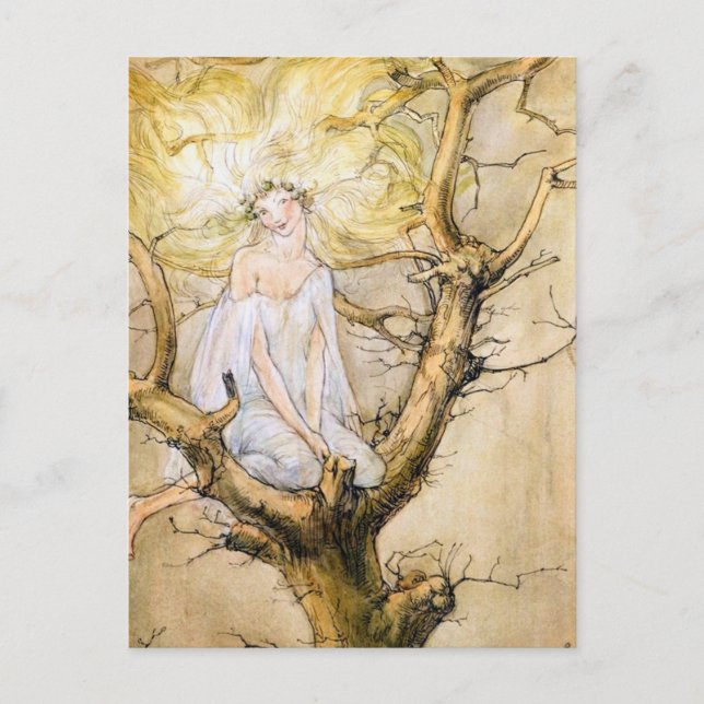 The Tree Fairy Vintage  Postcard (Front)