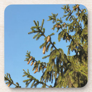 The Tree for Christmas Coaster