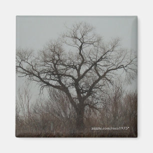 The Tree Magnet