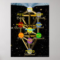 The Tree of Life | Hebrew and English | All Sizes