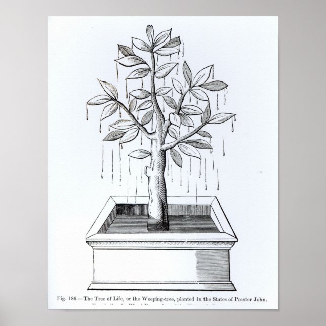 The Tree of Life, or the Weeping Tree Poster (Front)