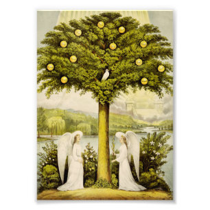 The tree of life photo print