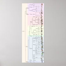 The Tree of Yum: Animalia Print
