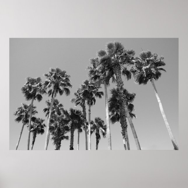 The Trees Poster (Front)