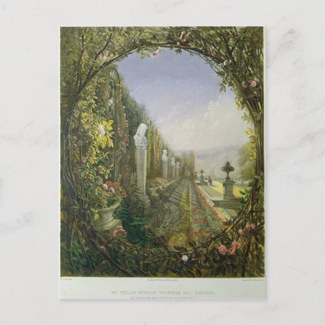 The Trellis Window, Trentham Hall Gardens Postcard (Front)