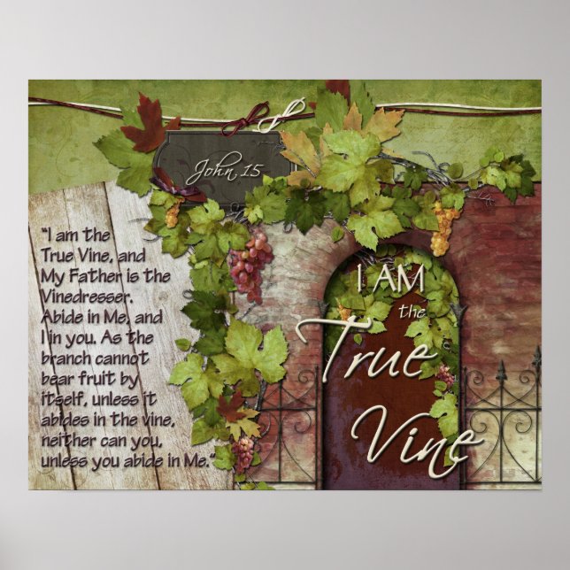 The True Vine Poster (Front)