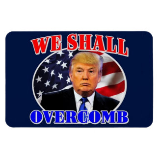 The Trump 2016 Magnet