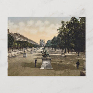 The Tuileries garden, Paris, France classic Photoc Postcard
